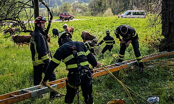 Parapendista resta impigliato tra gli alberi: salvato dai Vigili del Fuoco a Vico Canavese