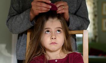 San Mauro, pidocchi senza fine a scuola: &ldquo;Sistema fermo, famiglie esasperate&rdquo;