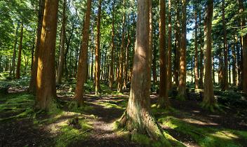 Dalle Valli di Lanzo 