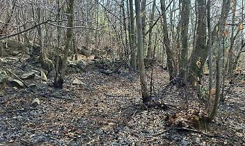 Incendio nel bosco a Cuorgn&egrave;