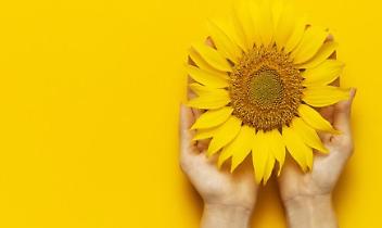 &ldquo;Endometriosi: servono pi&ugrave; consapevolezza, diagnosi precoci e formazione sanitaria. Siamo al fianco delle donne&rdquo;