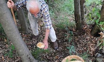 Trausella, cercatore di funghi soccorso sui boschi di Cima Bossola