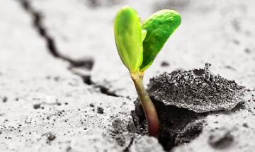 ...possiamo fare meglio!