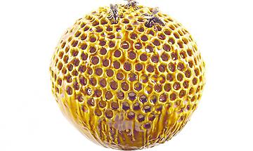 CASTELLAMONTE. La Mostra continua tutto settembre