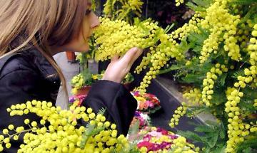 Mazz&egrave; celebra la Festa della Donna con musica, danza e cultura al Palaeventi