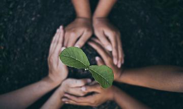 La festa di sant&rsquo;Antonio Abate unisce la collina: a Cinzano una giornata di fede, agricoltura e comunit&agrave;