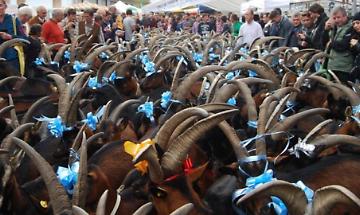 Torna la Festa rurale