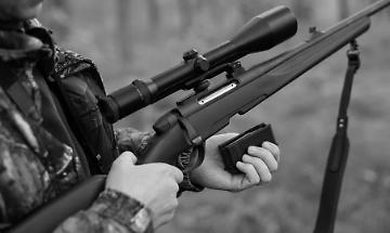 Cane trovato morto nei campi di San Martino Canavese: ipotesi colpo di fucile e nessun microchip