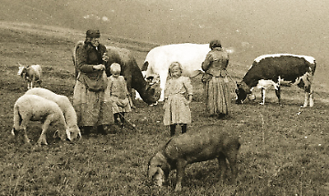 E' tornato Canav&egrave;is. Trent&rsquo;anni di memoria che resistono al tempo