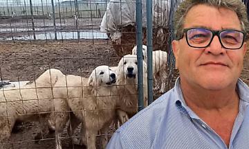 Cani nel fango a Carmagnola: tra i proprietari c&rsquo;&egrave; l&rsquo;assessore all'ambiente...