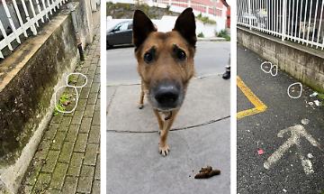 Marciapiedi pieni di cacche di cani vicino all'asilo. Scoppia la protesta in Canavese