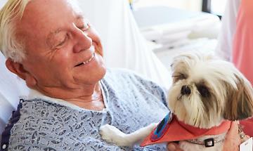 Pet therapy, il Consiglio comunale ha detto s&igrave;: approvata all&rsquo;unanimit&agrave; la mozione della Lega