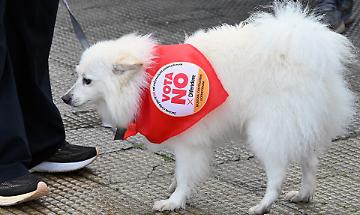 Ivrea, studenti dell&rsquo;Olivetti denunciano &ldquo;propaganda politica&rdquo; durante un incontro sul referendum