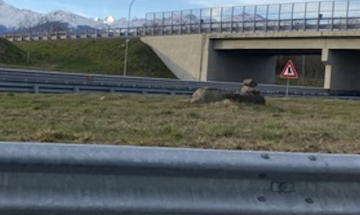 &laquo;Quelle pietre all&rsquo;uscita di Scarmagno: per me sono un piccolo monumento&raquo;