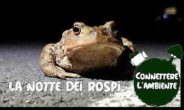 Rospi