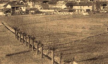 L&agrave; dove stagnava l&rsquo;acqua: la bonifica della palude di Settimo