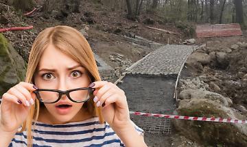 "Salviamo il Bosco del Vaj": parte una raccolta firme per bloccare i lavori (e il cemento) sui sentieri dell'area protetta