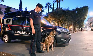 Notte di controlli in Val Susa