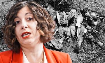 Sarah Disabato del Movimento 5 Stelle