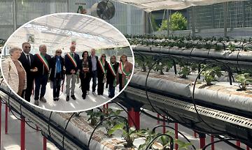 A Lanzo Torinese nasce la scuola del futuro: inaugurata la serra idroponica da 900mila euro