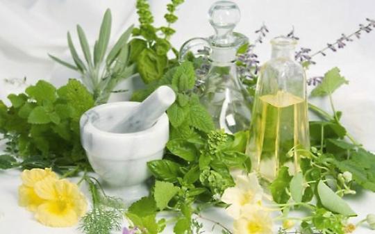 Omeopatia e Fitoterapia