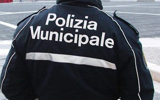 Alpignano, minimarket sospeso: sicurezza sul lavoro e tracciabilità degli alimenti sotto i riflettori