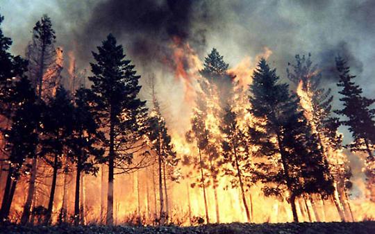 GIVOLETTO. Domate le fiamme ora si indaga sulle cause