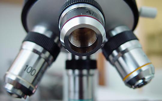 Strambinaria 2025: la scienza scende in piazza e parla a tutti