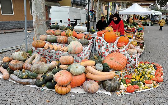 BRANDIZZO. Tutto il programma della XVII edizione della Sagra della Zucca