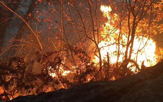 CANISCHIO. Fiamme nei boschi di Cima Mares. Non è escluso il dolo