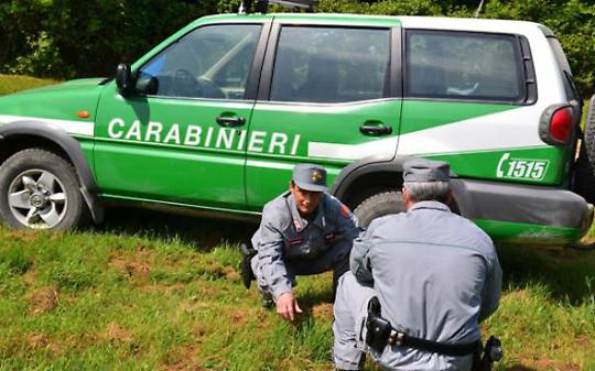 Rifiuti di gomma, sequestrato un impianto nel Novarese: l’indagine che svela la filiera dei costi al ribasso