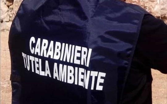 CUMIANA. Discarica abusiva nel Torinese, Noe sequestra 4 capannoni
