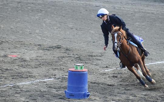 SPORT EQUESTRI. Il Campionato Italiano Mounted Games fa tappa al centro ippico J&amp;G La Scuderia