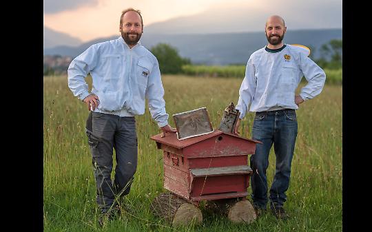 AZEGLIO. Adotta un alveare e osserva crescere la famiglia di api