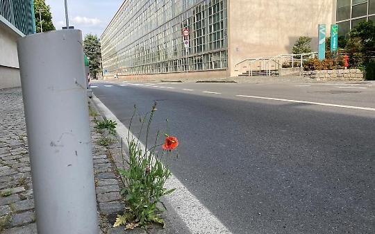 Ivrea oltre lo specchietto retrovisore