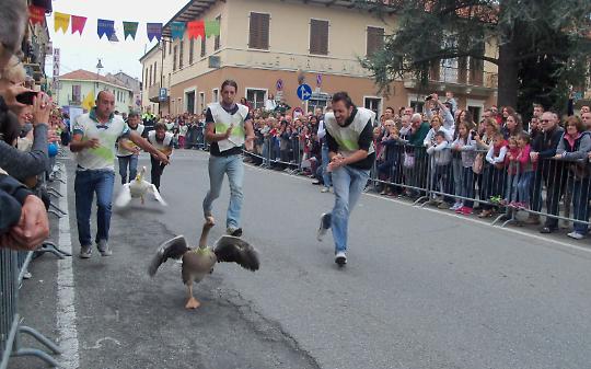 PALIO DELLE OCHE, SAN MAURIZIO CANAVESE
