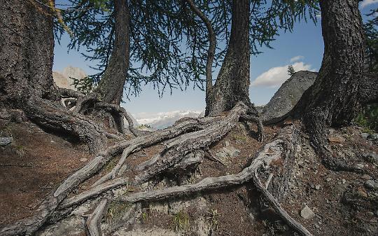 Una frana da 2milioni di metri cubi di terra e roccia minaccia le frazioni