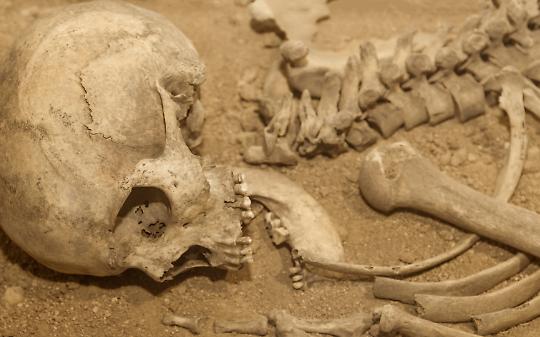 Scopri il fascino della storia e delle Valli di Lanzo e del Canavese: un incontro unico con gli autori di "canavèis"