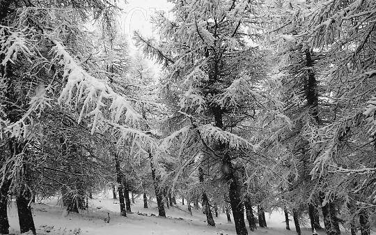 Prima Neve sul Canavese