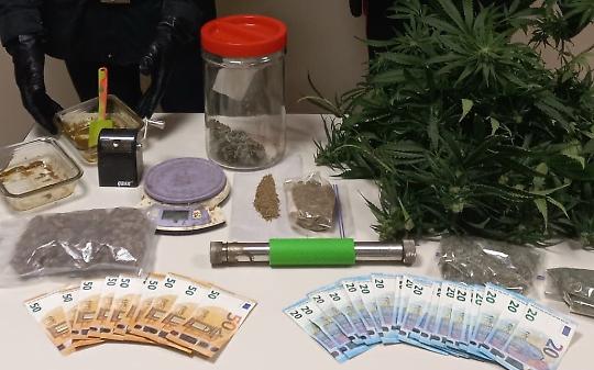 Scoperto traffico di Marijuana 