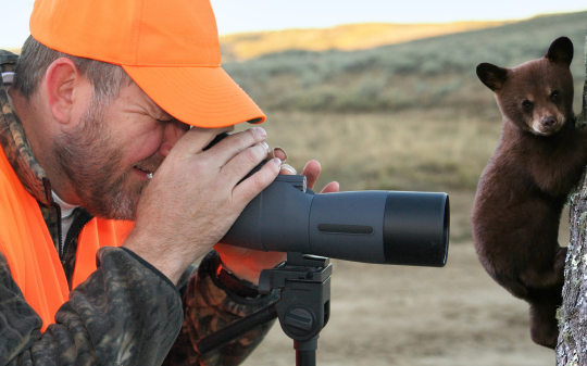 Caccia all'orso in Canavese