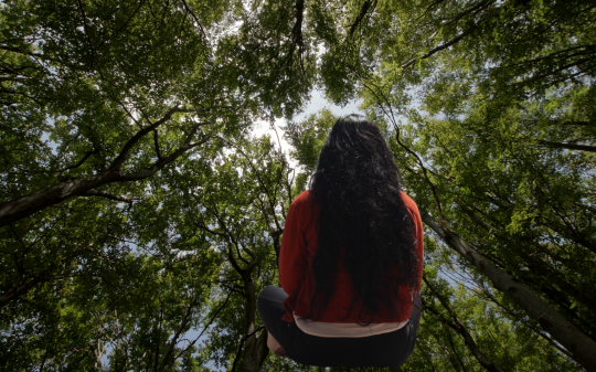 Foreste certificate: Ala di Stura, Balme e Cantoira conquistano il PEFC