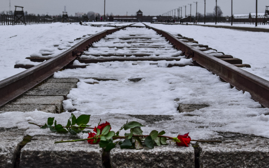 San Raffaele Cimena ricorda la Shoah