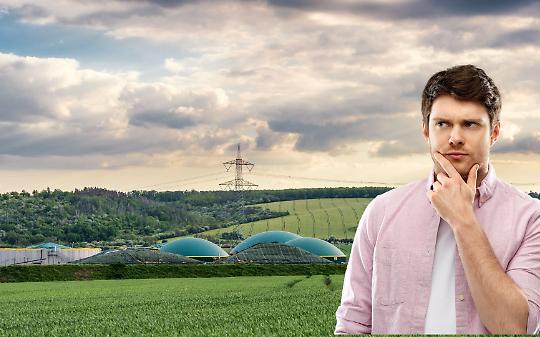 Villareggia svenduta 