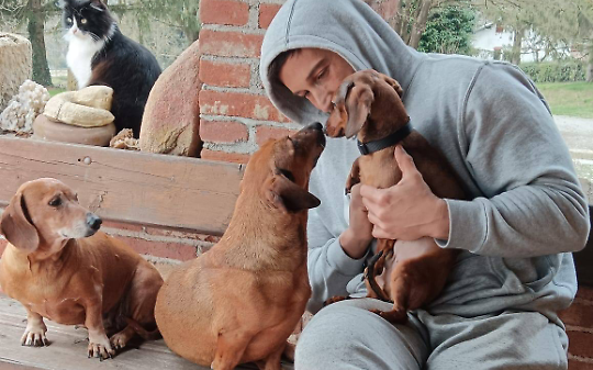 Casa del Cane Vagabondo - Rifugio per animali - Barbania 