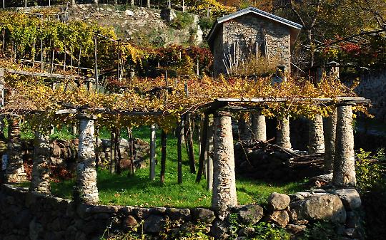 I vigneti terrazzati del Mombarone nel Registro Nazionale: convegno di studio il 14 marzo