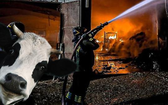 incendio all'alba