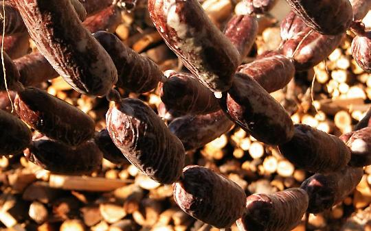 Torna la Sagra del Brut & Brut