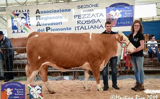 Fiera di San Giorgio