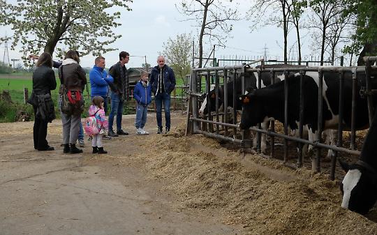 La stalla che batte i record